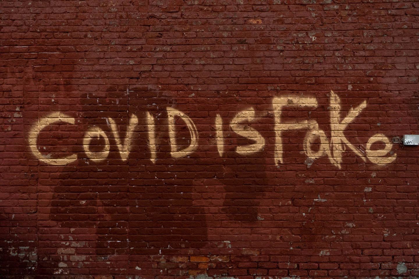 September 22, 2020: “Covid is Fake” graffiti. East 146th Street at Third Avenue, Bronx, New York. © Camilo José Vergara